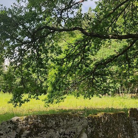 Witericus Hospedaxe Villa Guitiriz Exteriör bild