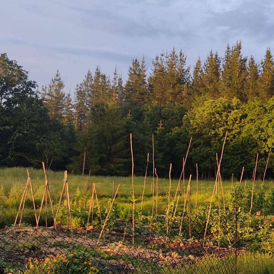Witericus Hospedaxe Villa Guitiriz Exteriör bild