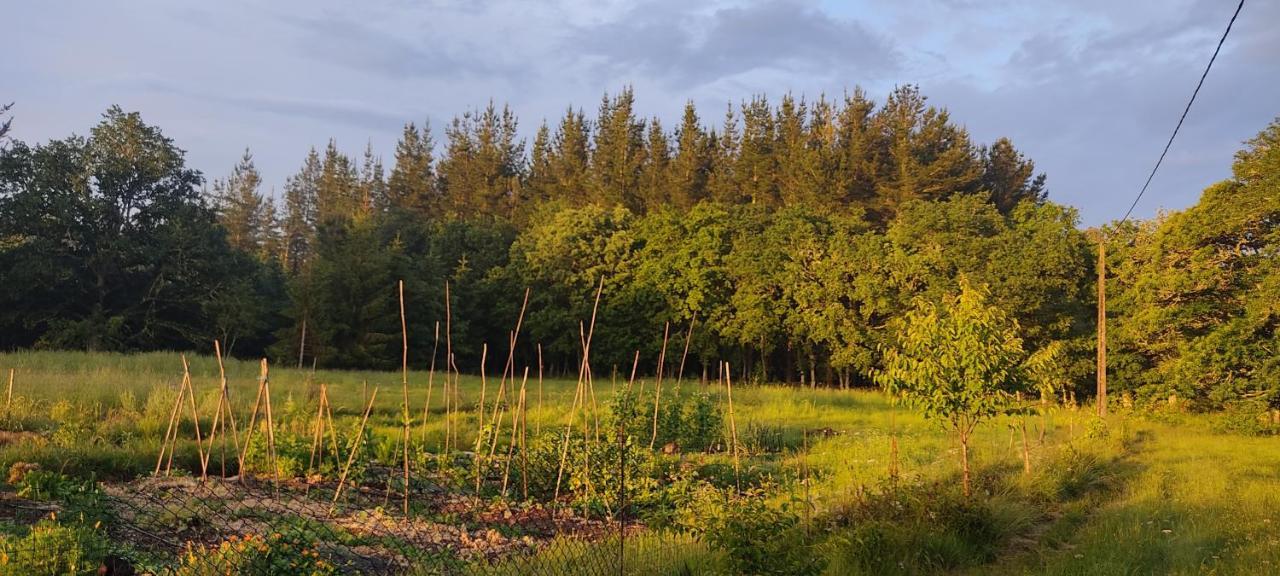 Witericus Hospedaxe Villa Guitiriz Exteriör bild
