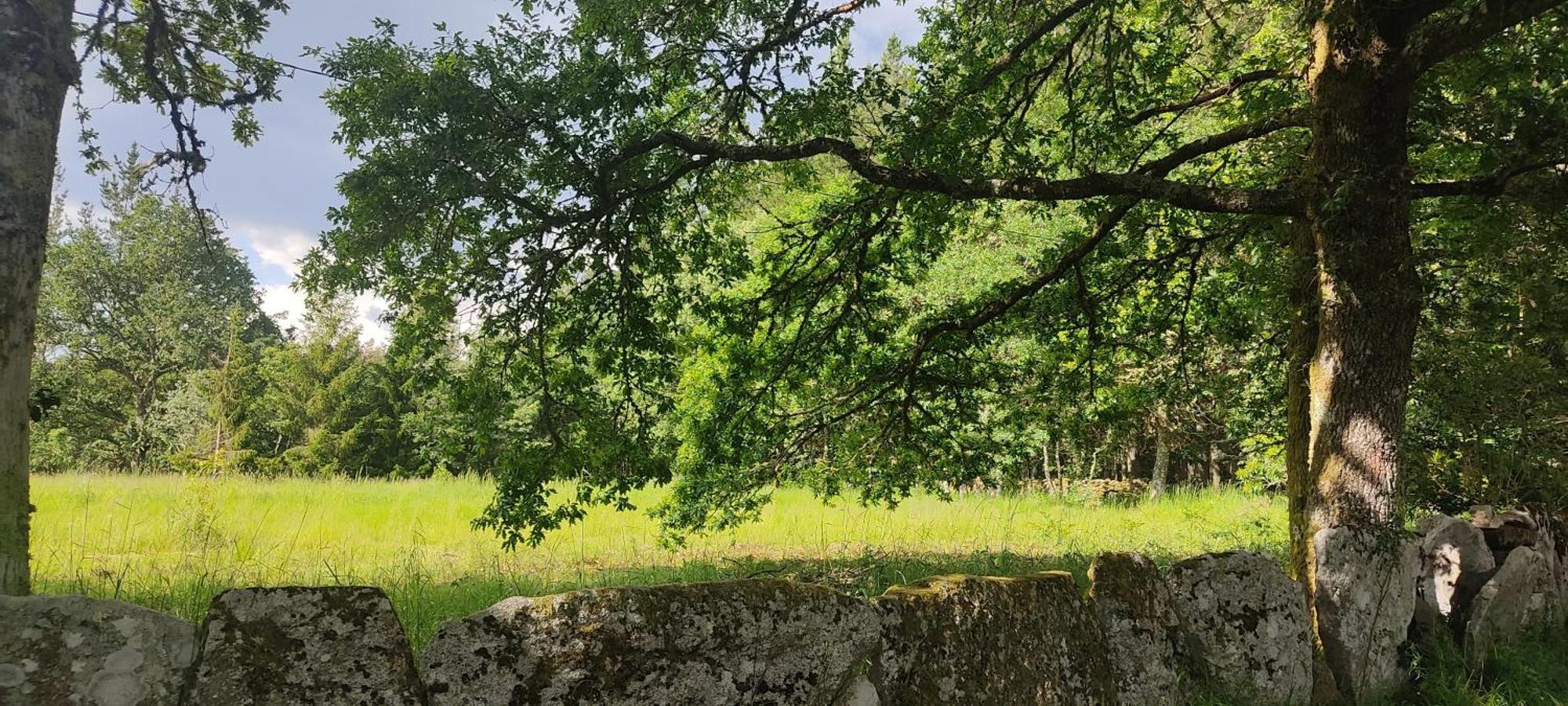 Witericus Hospedaxe Villa Guitiriz Exteriör bild